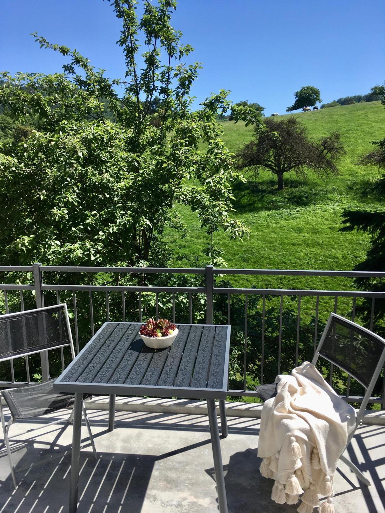 Weinheim Apartments Екстер'єр фото